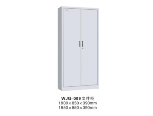 WJG-009 文件柜(灰白)