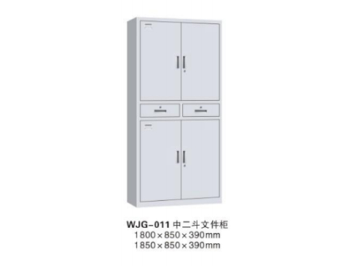 WJG-011 中二斗文件柜(灰白)